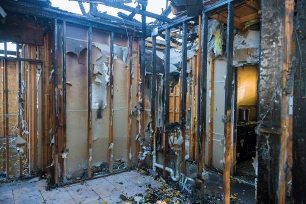 Professional Fire Damage Removal technician working in Atwood, IL